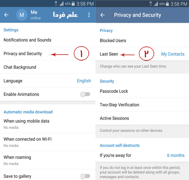 تنظیمات مربوط به وضعیت آنلاین در تلگرام