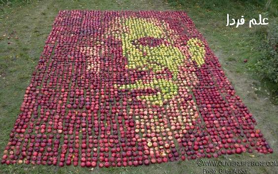 Steve-Jobs-Land-Art