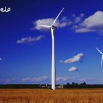انرژی باد به تنهایی بیشتر از نیاز بشریت برق تولید خواهد کرد
