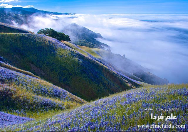 Above-Big-Sur national geographic