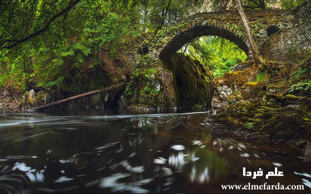 Hermitage-Bridge,-Scotland