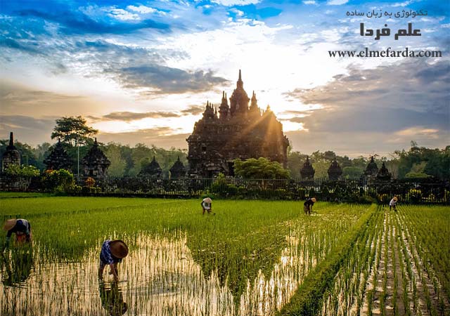 Sunrise Plaosan Temple,” Plaosan Temple, Yogyakarta, Indonesia, Places Category