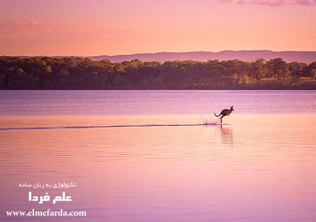 Walking on Water,” Queensland, Australia, Nature Category