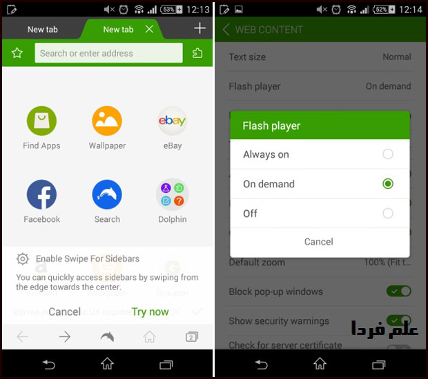 تنظیمات مروگر دلفین Dolphin برای اجرای فایل های فلش در اندروید