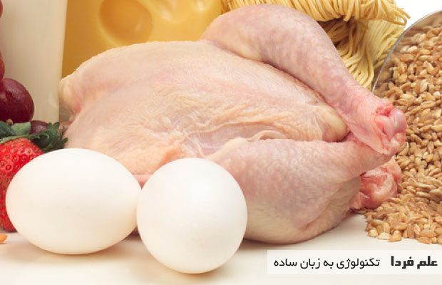سامانه ردیابی گوشت مرغ از مزرعه تا سفره ، یک روش مناسب برای بالا بردن سطح سلامت جامعه