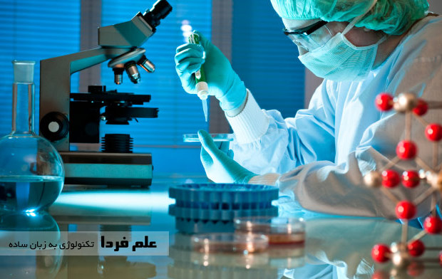 روسیه در حال ساخت کشتی نوح ، بزرگترین مجموعه DNA در دنیا