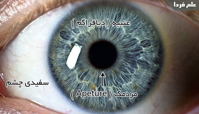 مکانیزم دیافراگم دوربین شبیه به چشم انسان