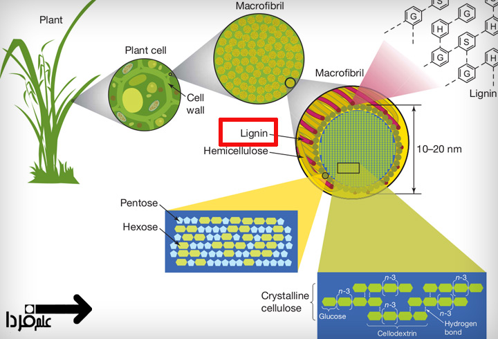 کاغذ بخاطر لیگنین زرد میشه